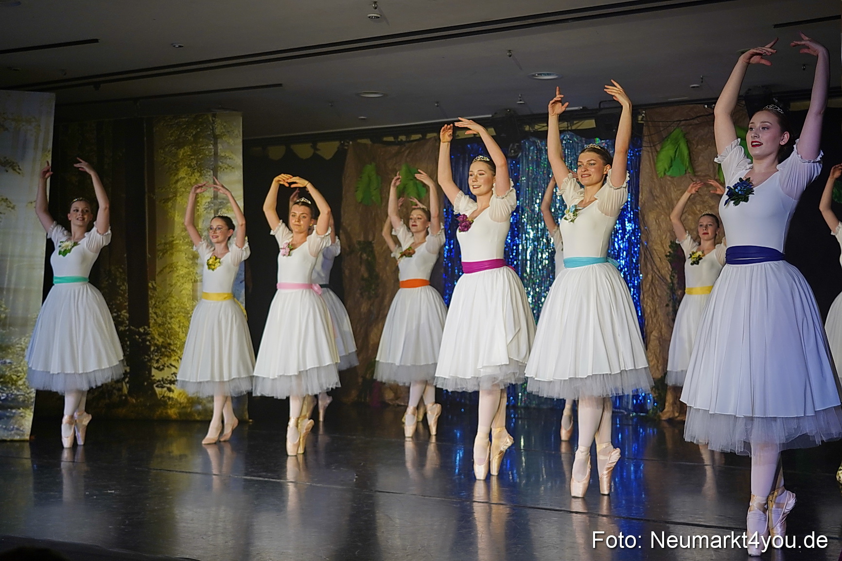 Die 12 tanzenden Prinzessinnen 0126