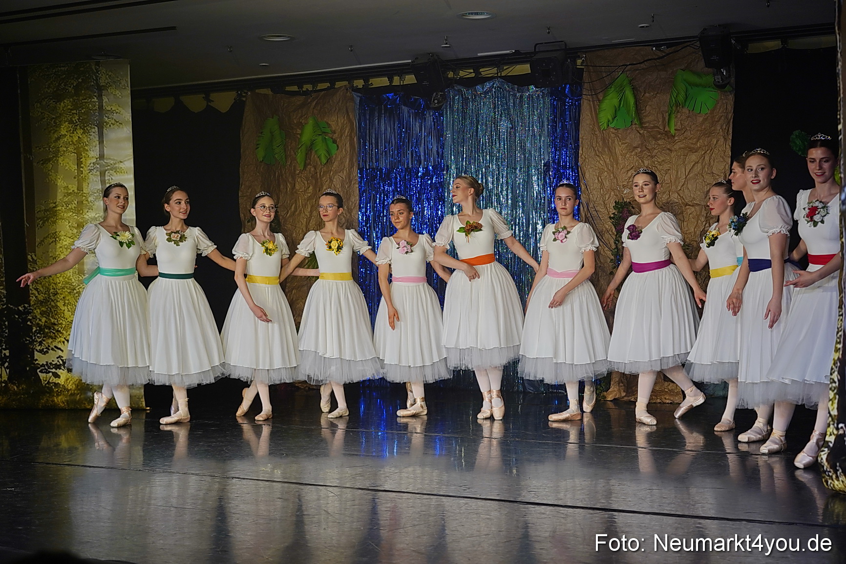 Die 12 tanzenden Prinzessinnen 0127