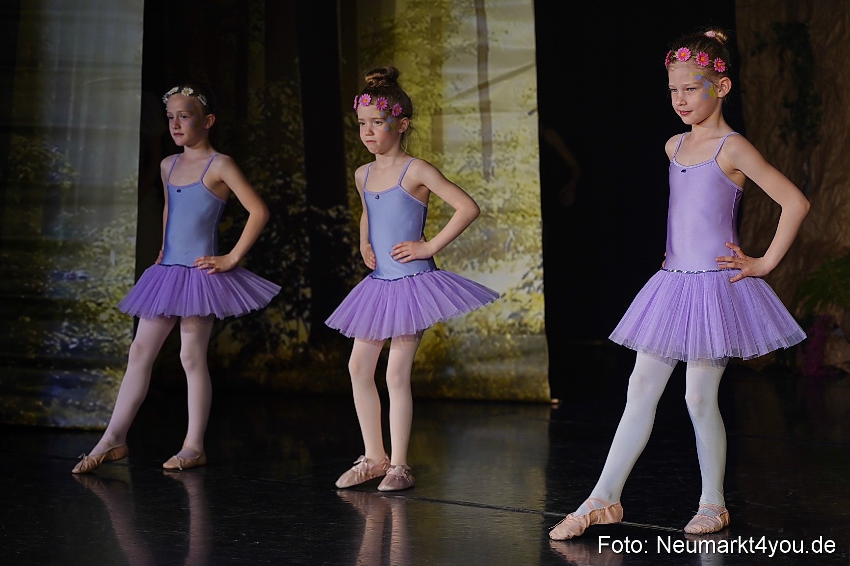 Die 12 tanzenden Prinzessinnen 0130