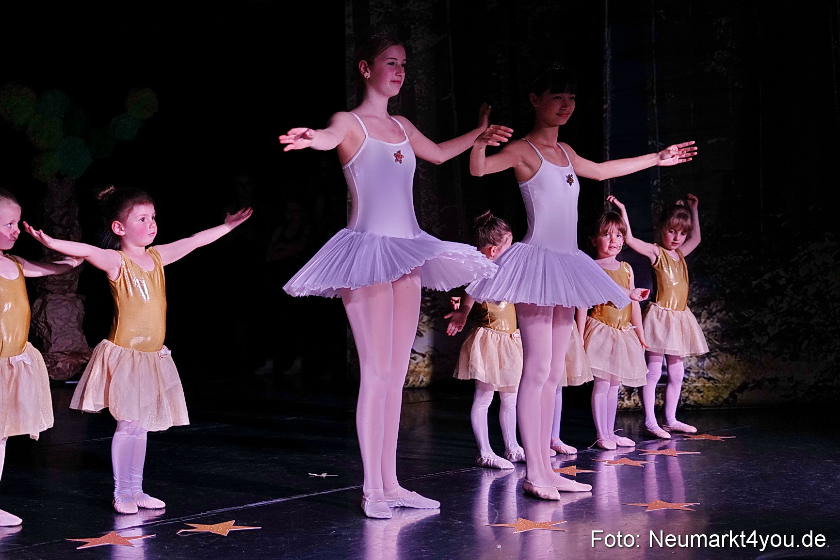 Die 12 tanzenden Prinzessinnen 0132