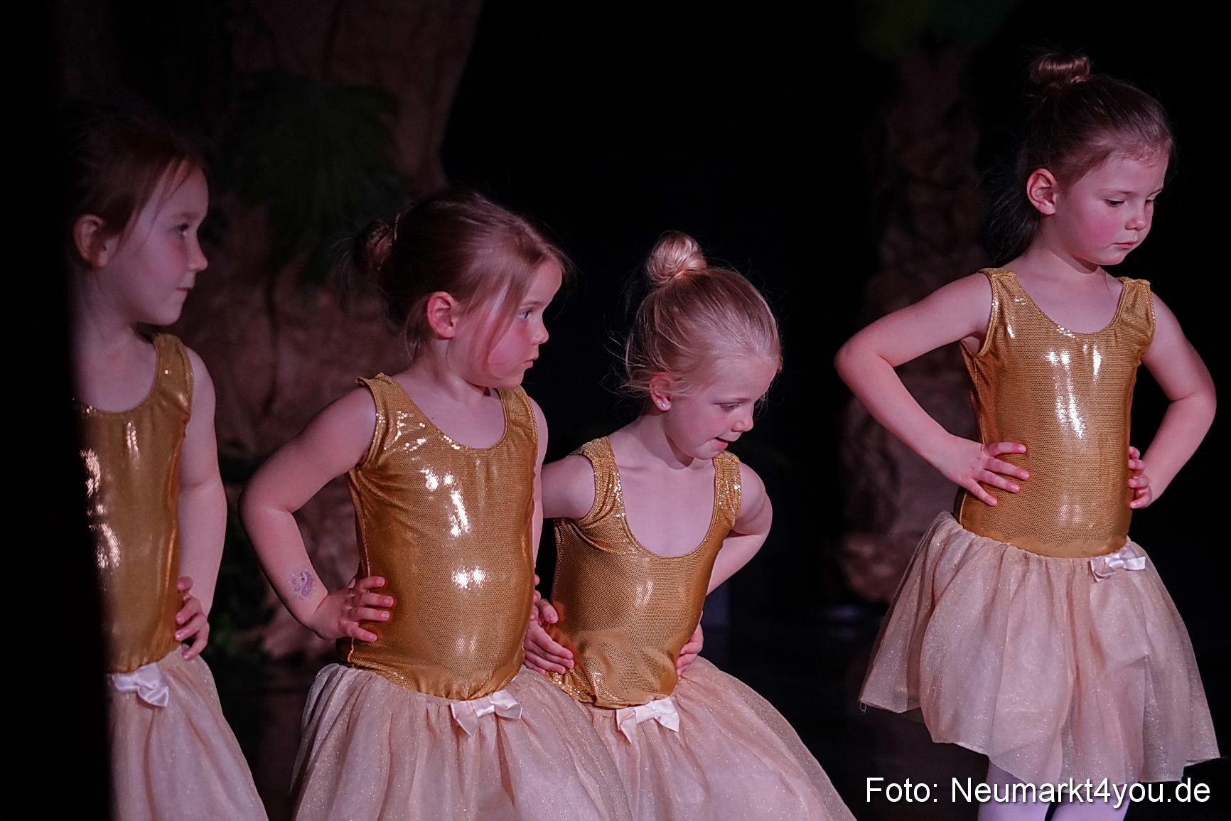 Die 12 tanzenden Prinzessinnen 0133