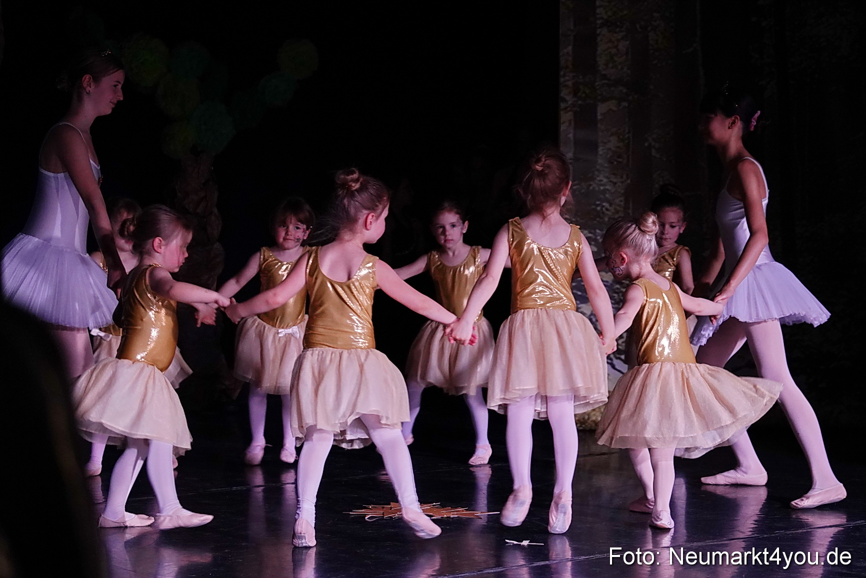 Die 12 tanzenden Prinzessinnen 0134