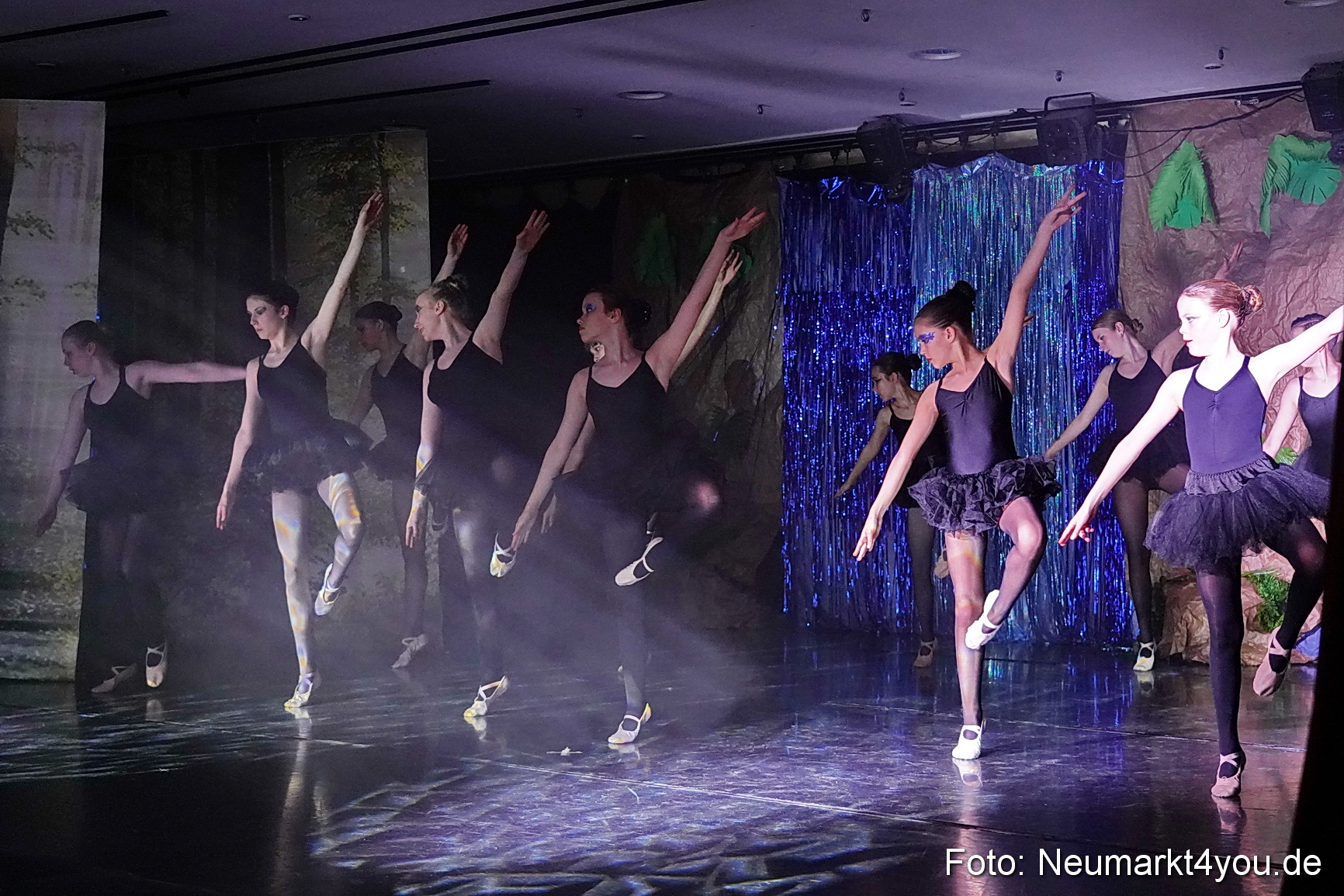 Die 12 tanzenden Prinzessinnen 0135