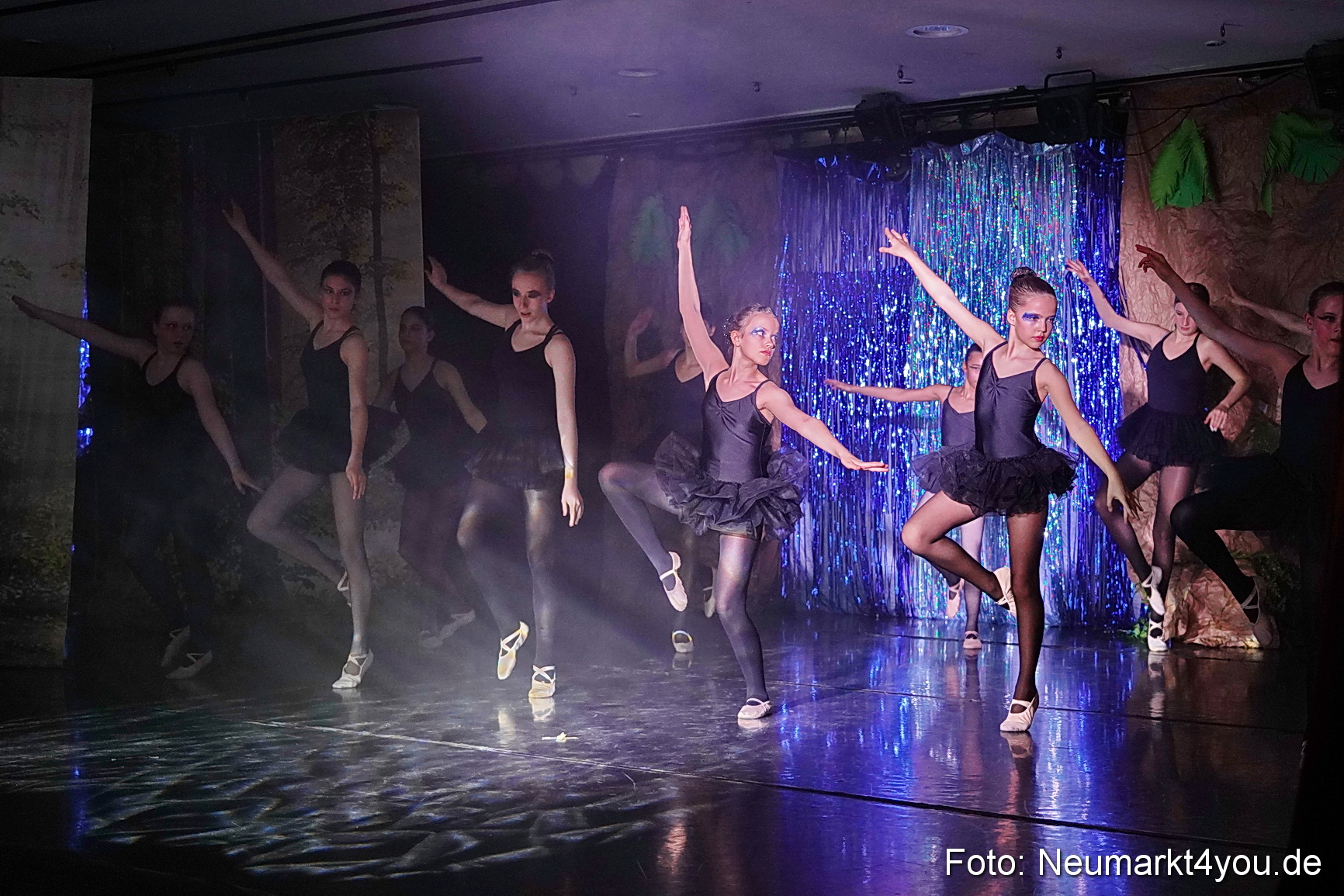 Die 12 tanzenden Prinzessinnen 0136