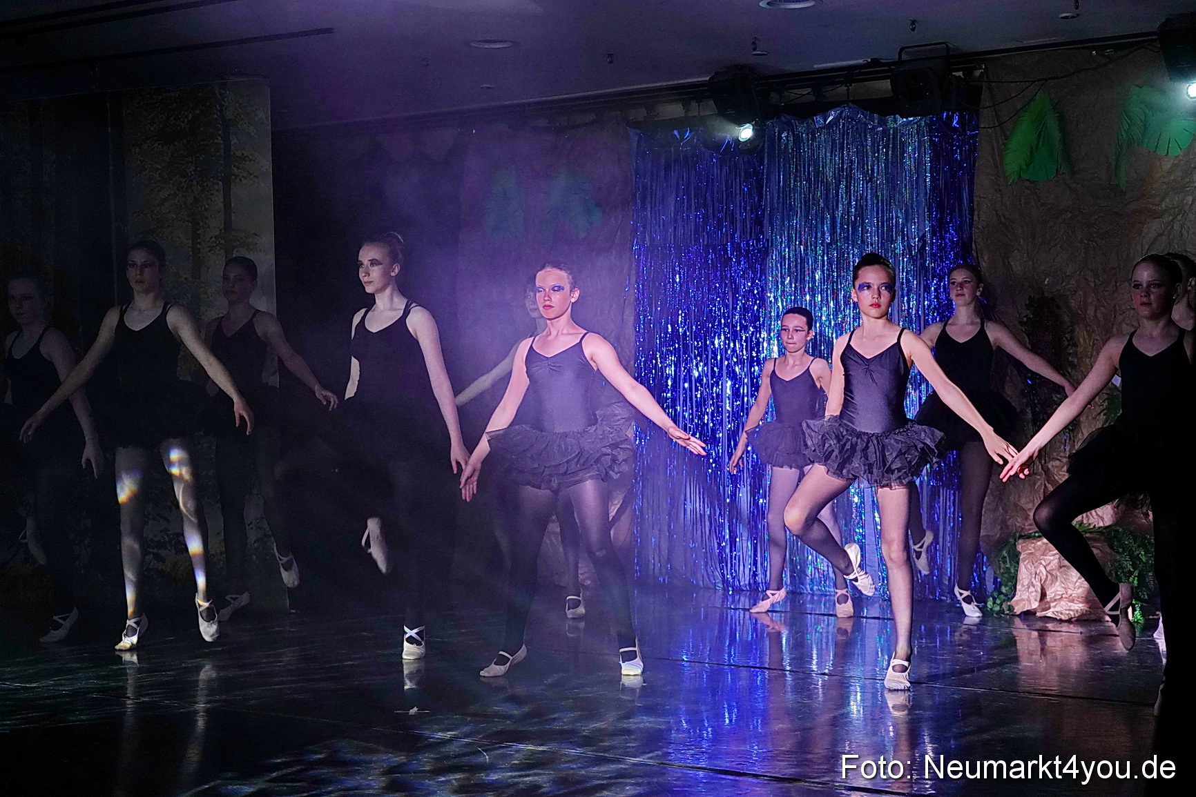 Die 12 tanzenden Prinzessinnen 0137