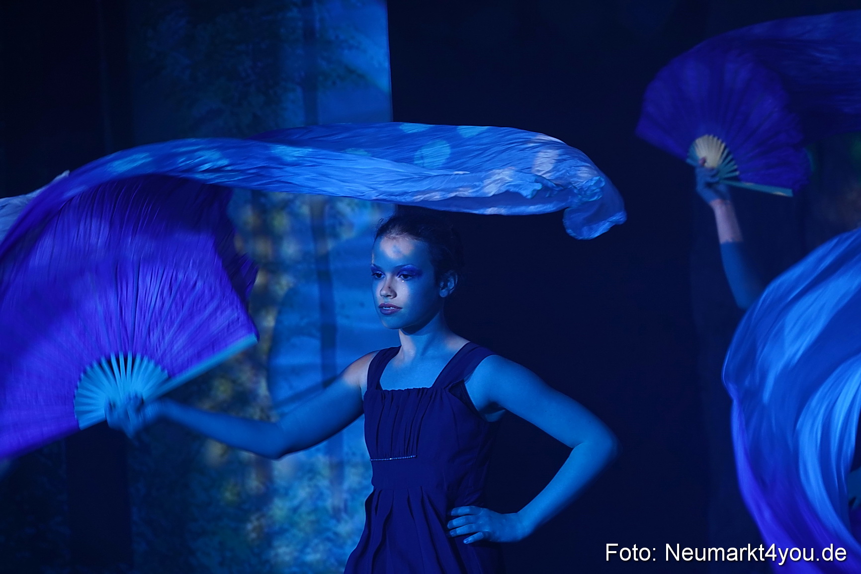 Die 12 tanzenden Prinzessinnen 0144