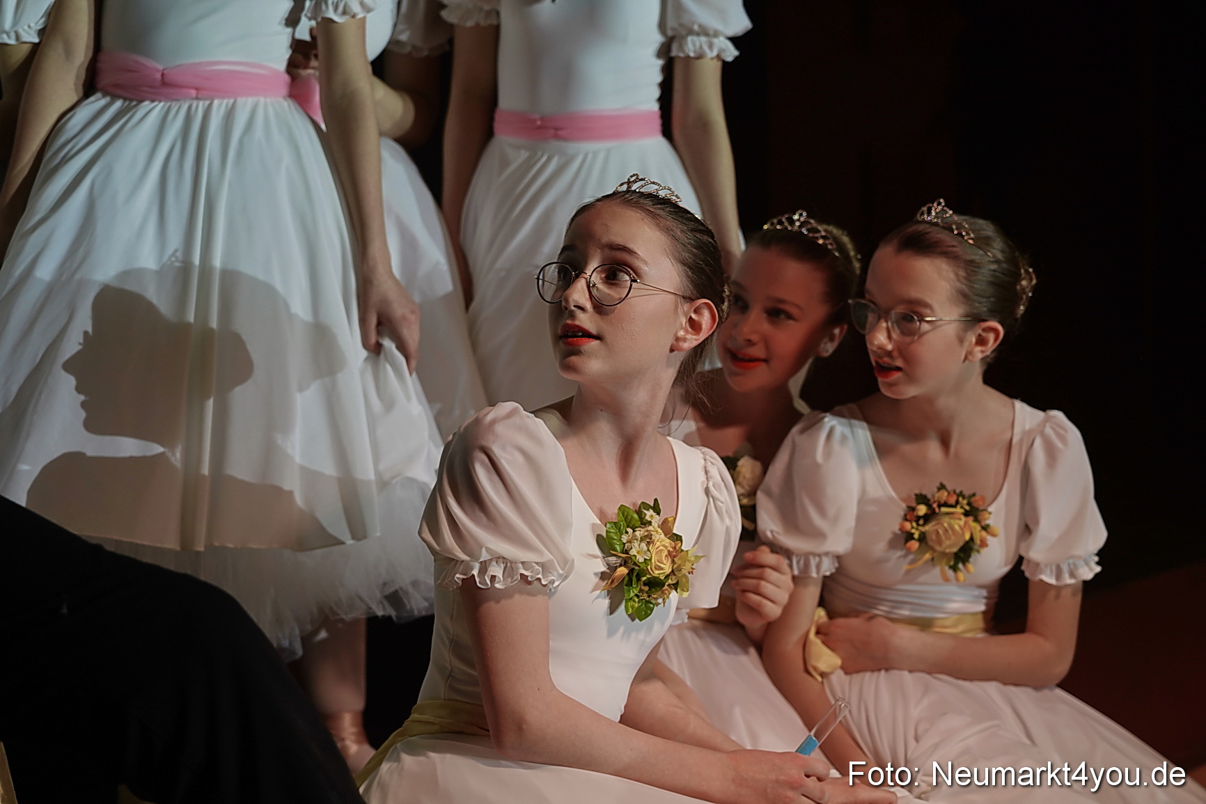Die 12 tanzenden Prinzessinnen 0145