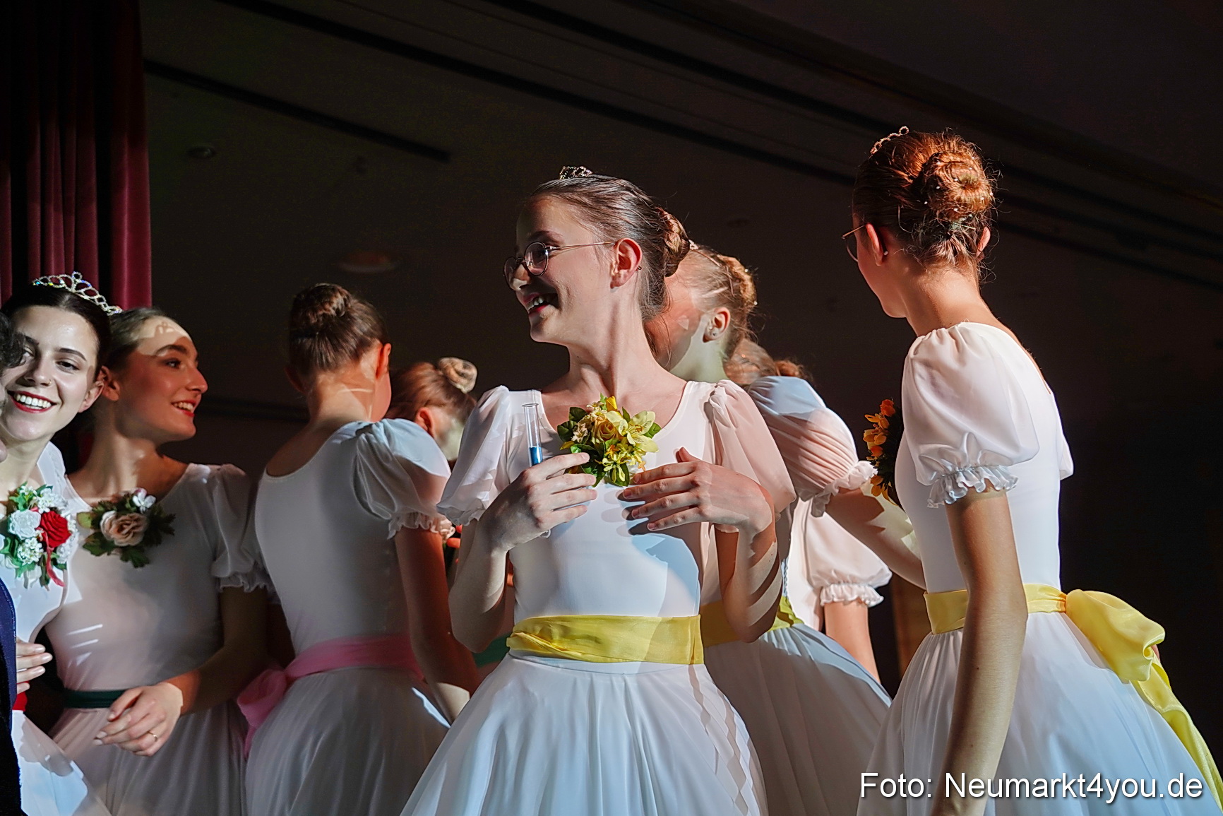 Die 12 tanzenden Prinzessinnen 0146