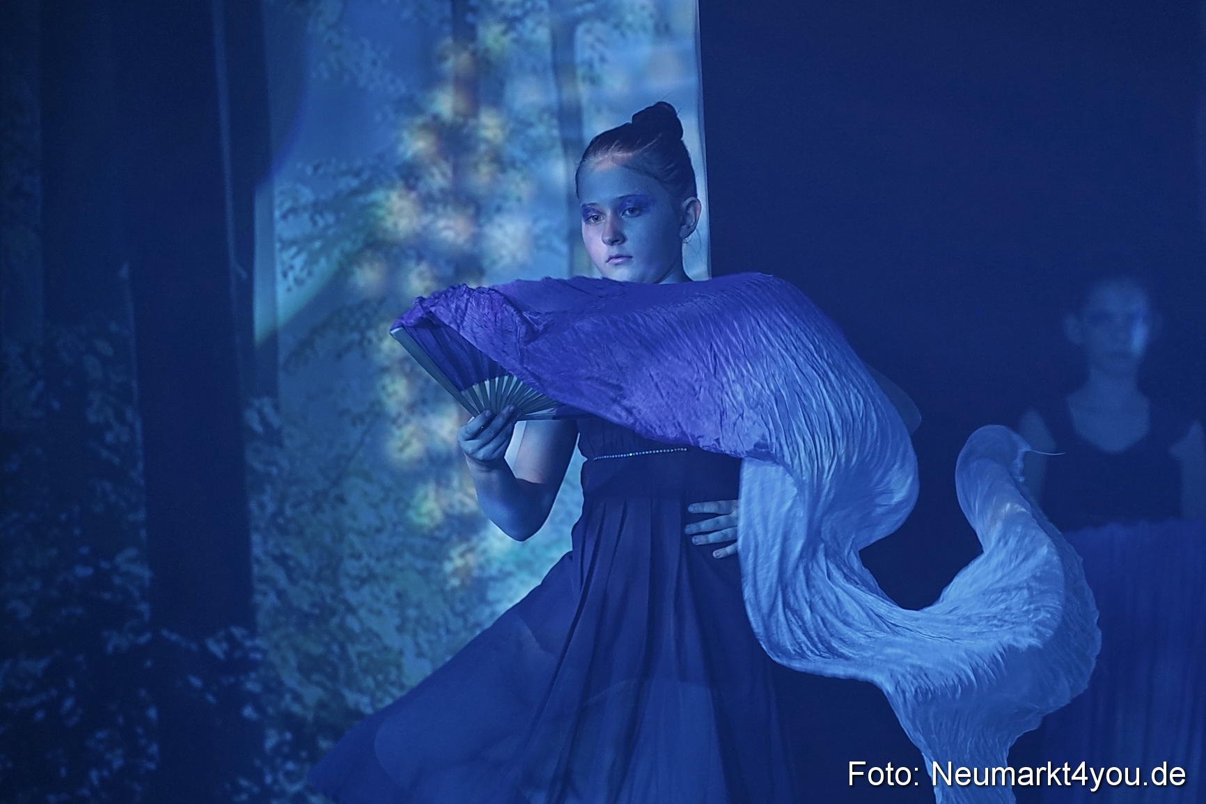 Die 12 tanzenden Prinzessinnen 0149