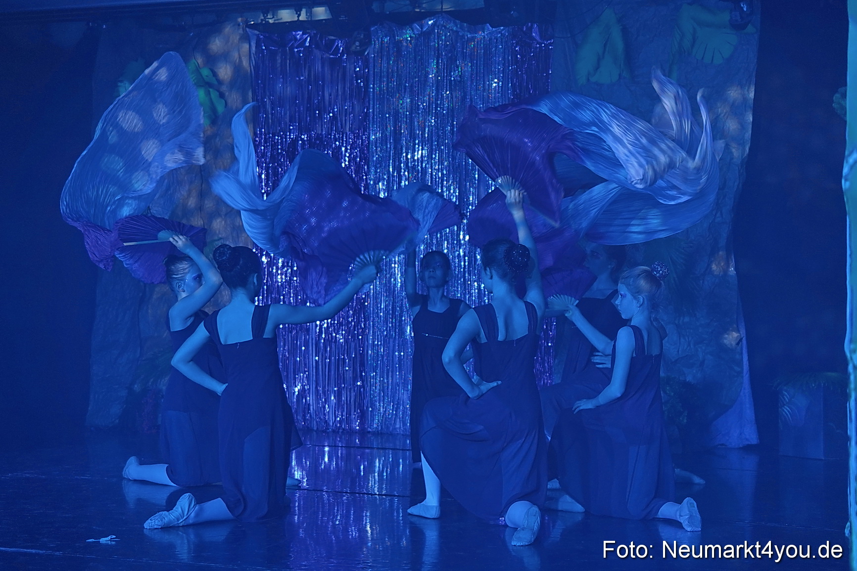 Die 12 tanzenden Prinzessinnen 0151