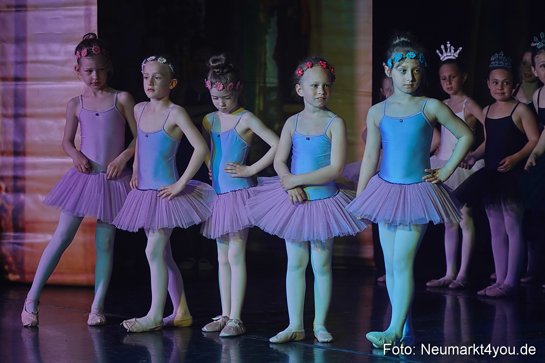 Die 12 tanzenden Prinzessinnen 0161