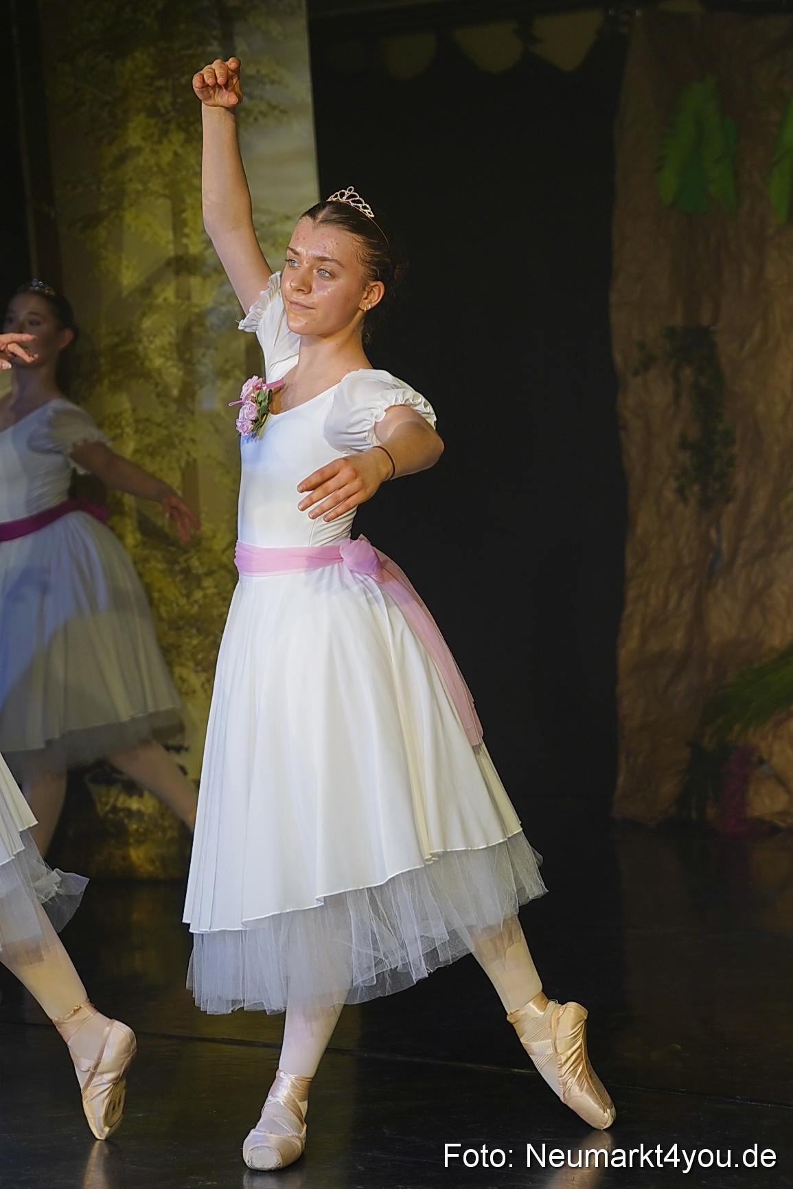 Die 12 tanzenden Prinzessinnen 0166