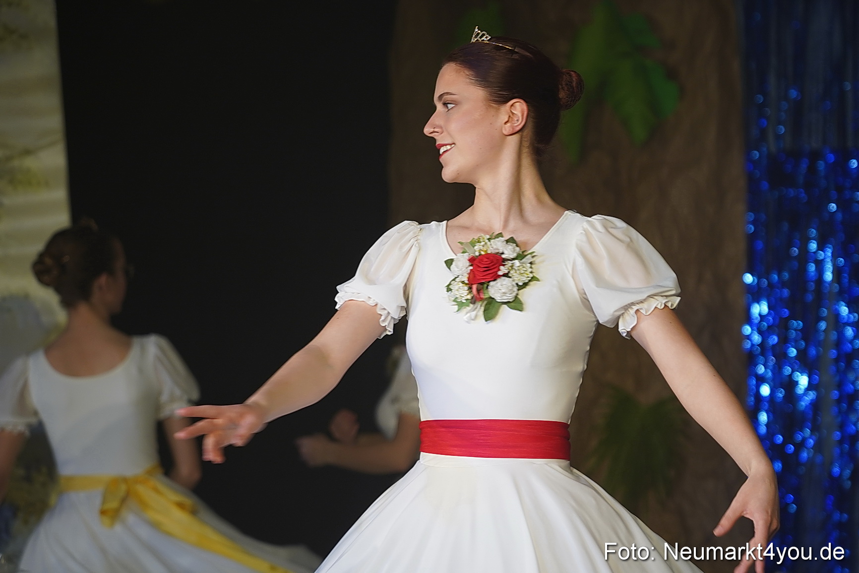 Die 12 tanzenden Prinzessinnen 0168