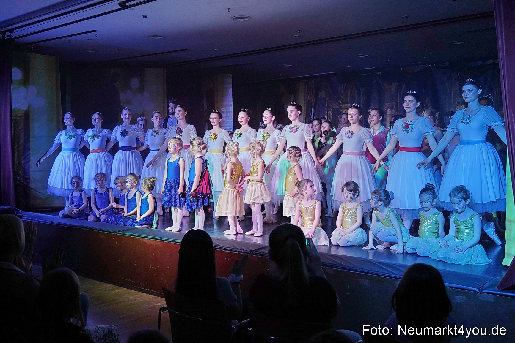 Die 12 tanzenden Prinzessinnen 0169