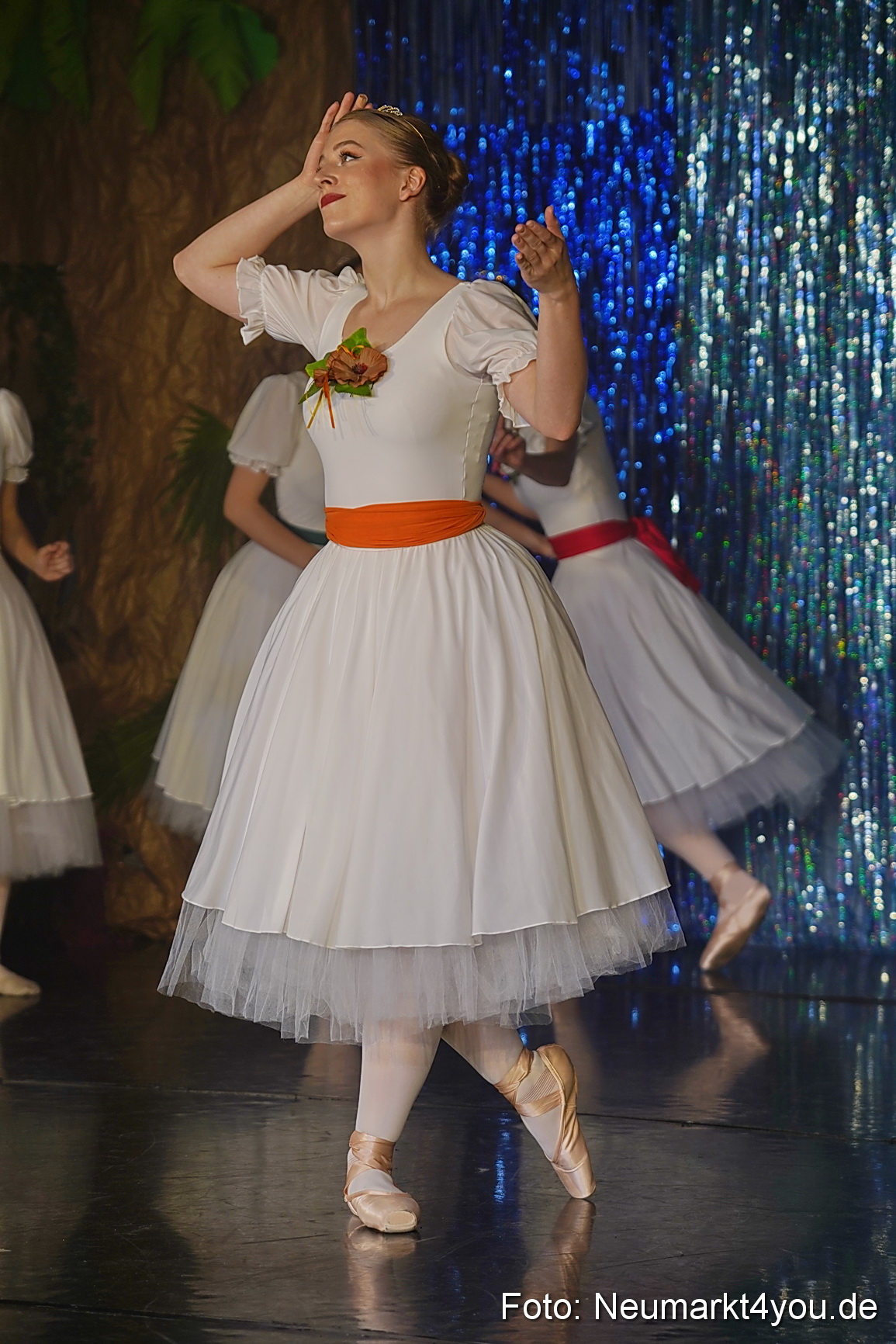 Die 12 tanzenden Prinzessinnen 0170