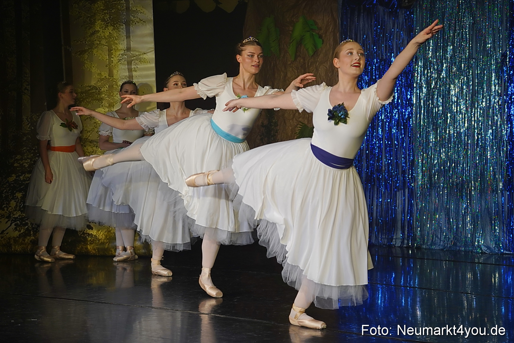 Die 12 tanzenden Prinzessinnen 0171