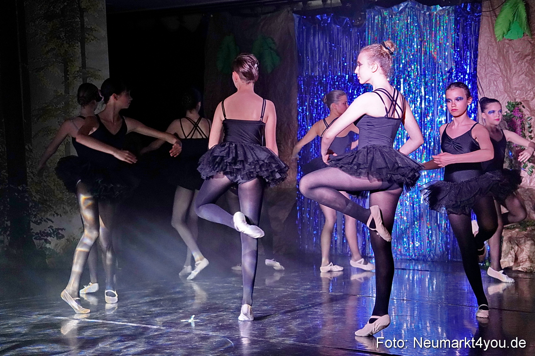 Die 12 tanzenden Prinzessinnen 0180