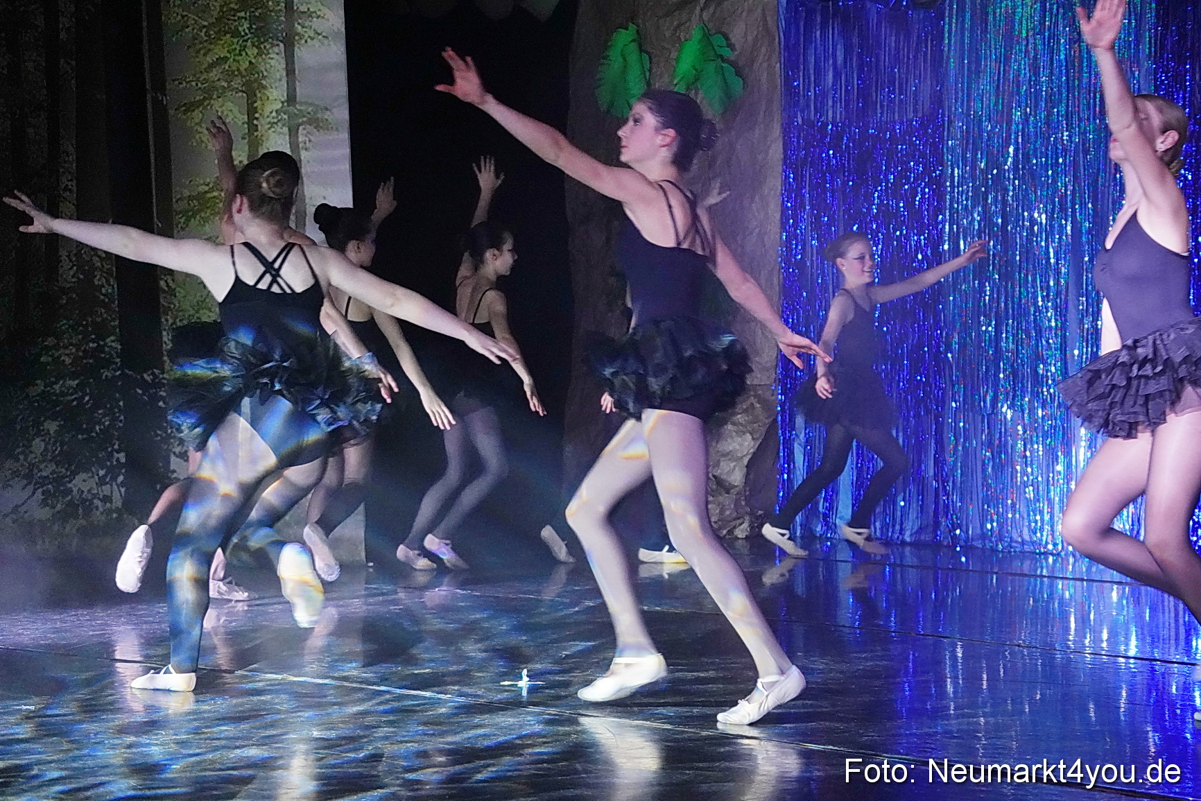 Die 12 tanzenden Prinzessinnen 0181