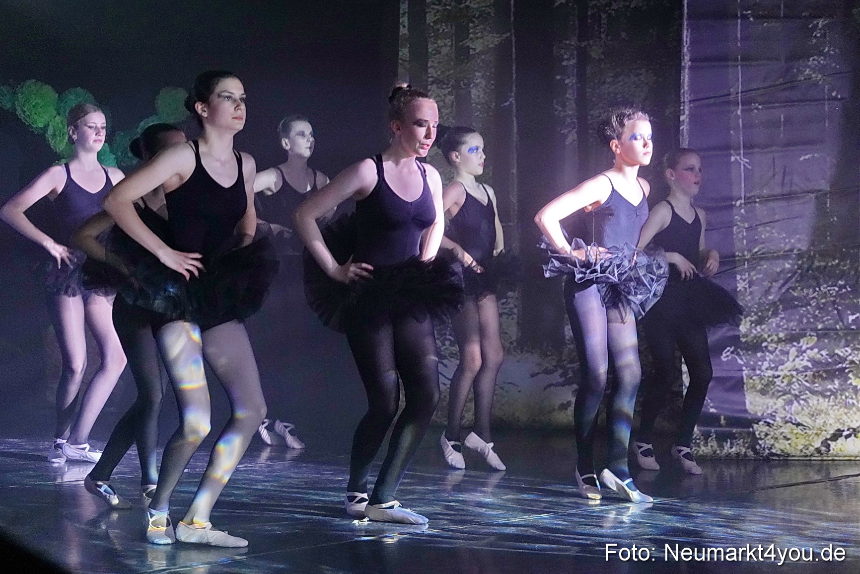 Die 12 tanzenden Prinzessinnen 0182