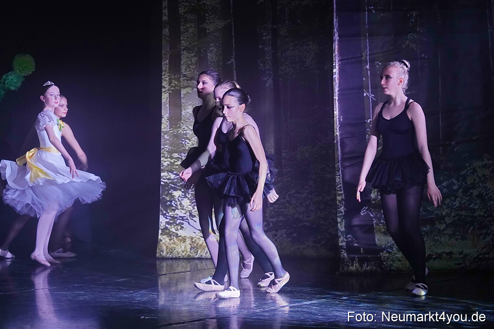 Die 12 tanzenden Prinzessinnen 0183