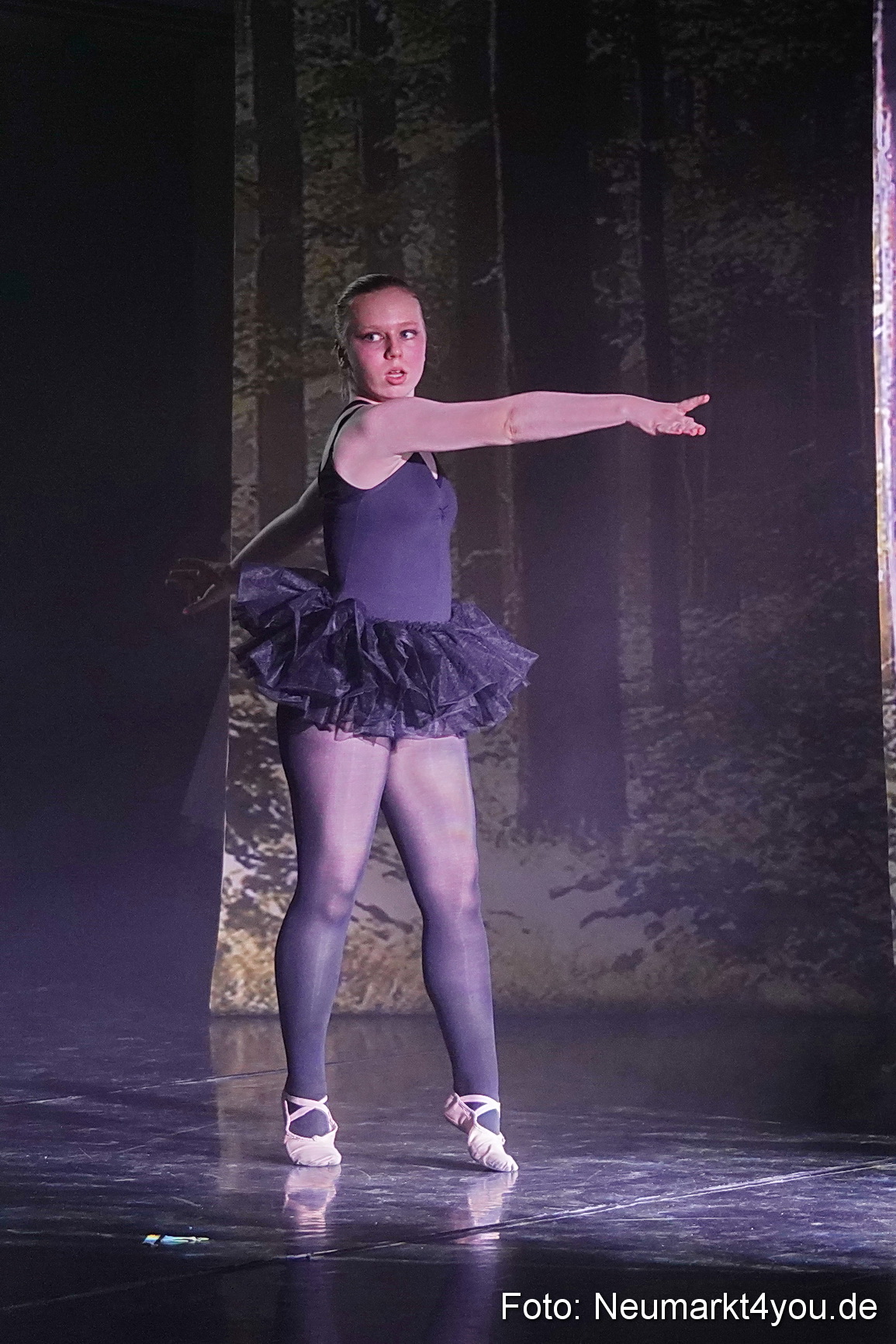 Die 12 tanzenden Prinzessinnen 0184