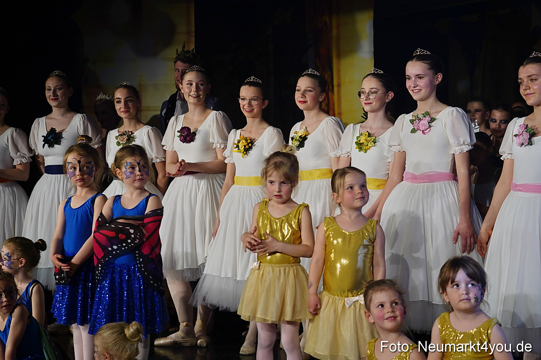Die 12 tanzenden Prinzessinnen 0186