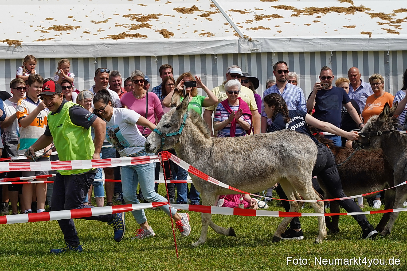 Eselrennen Fruehlingsfest 2023 0051