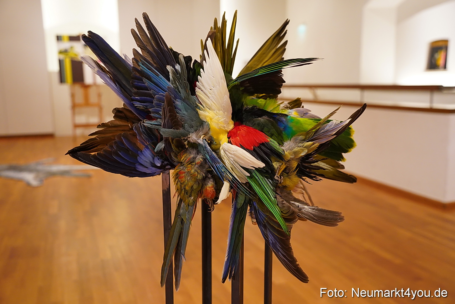 Kulturnacht 2023 0609