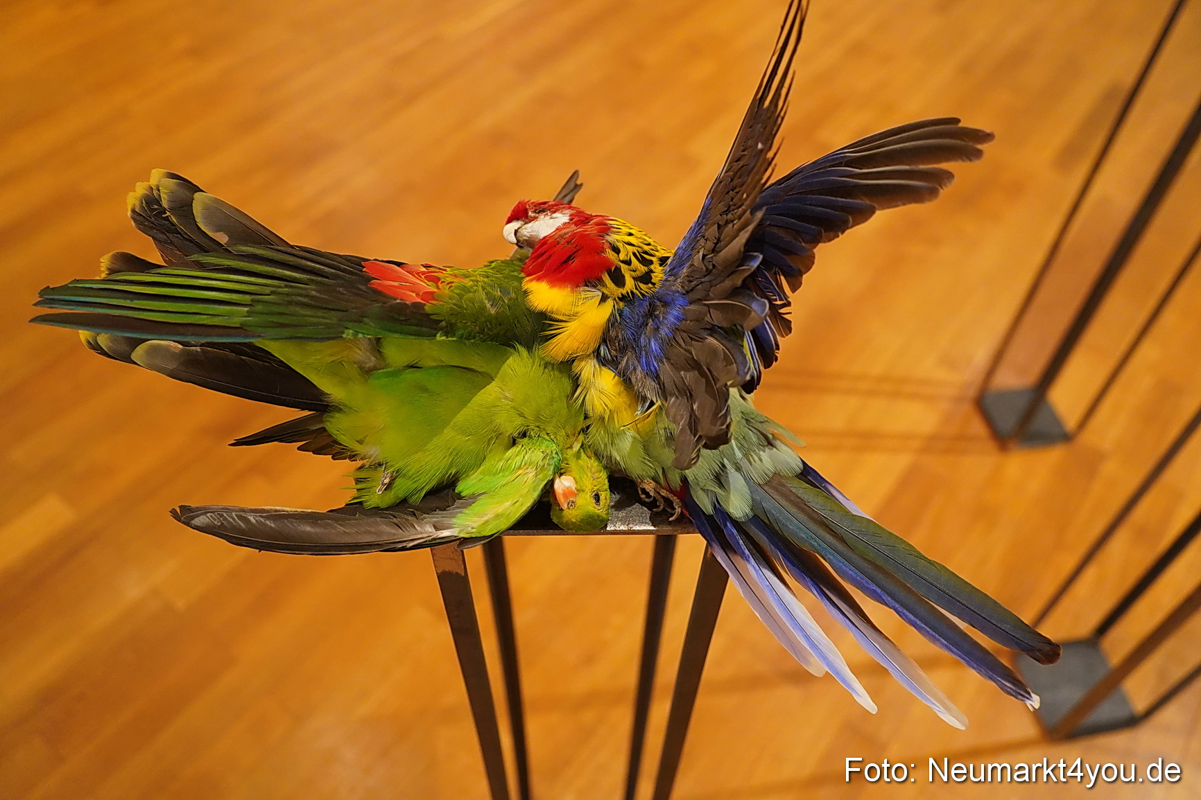 Kulturnacht 2023 0610