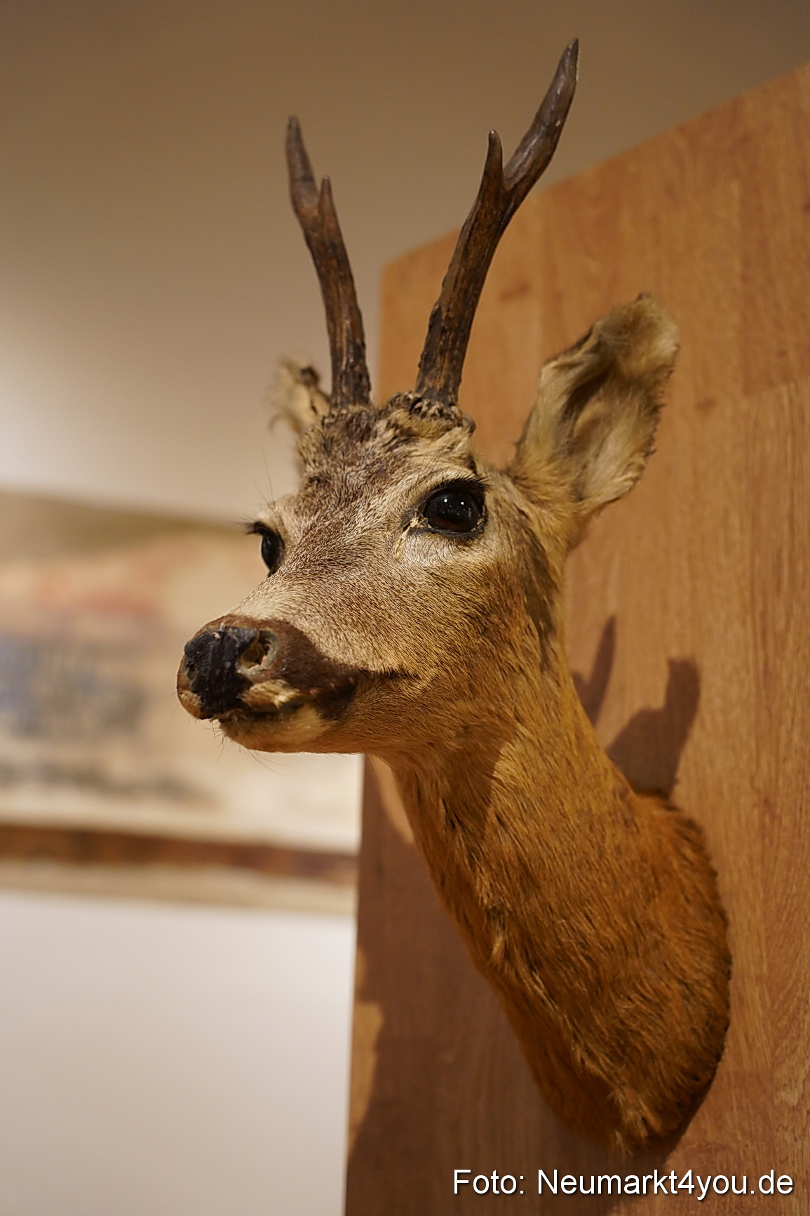 Kulturnacht 2023 0612