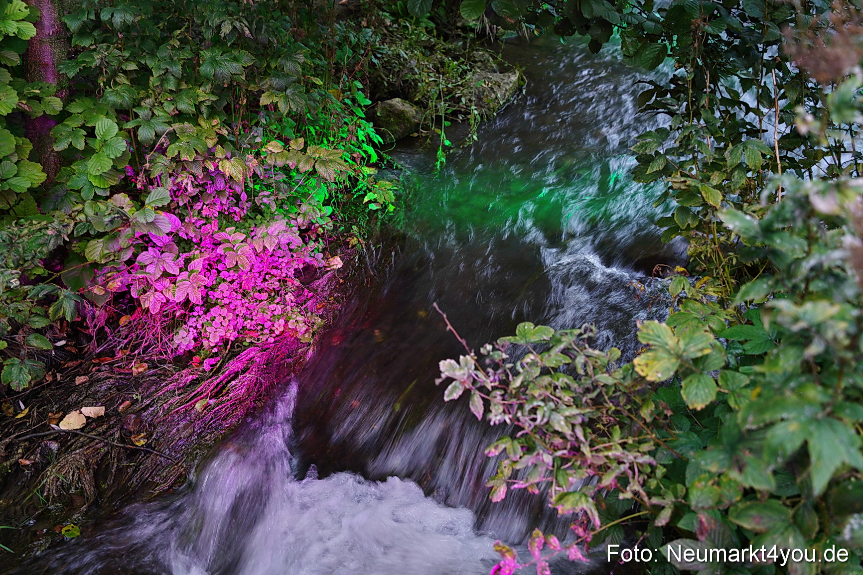 Kulturnacht 2023 0821