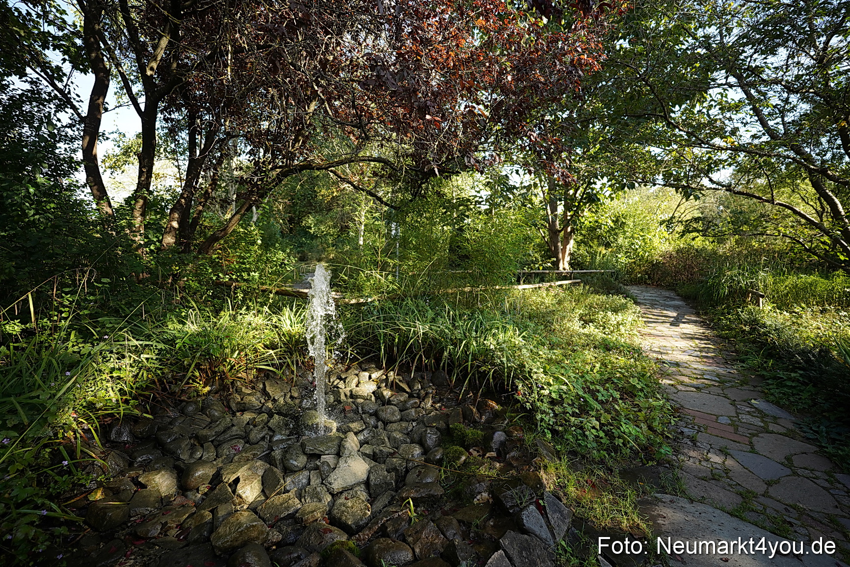 Life Side Galerie 2023 0018