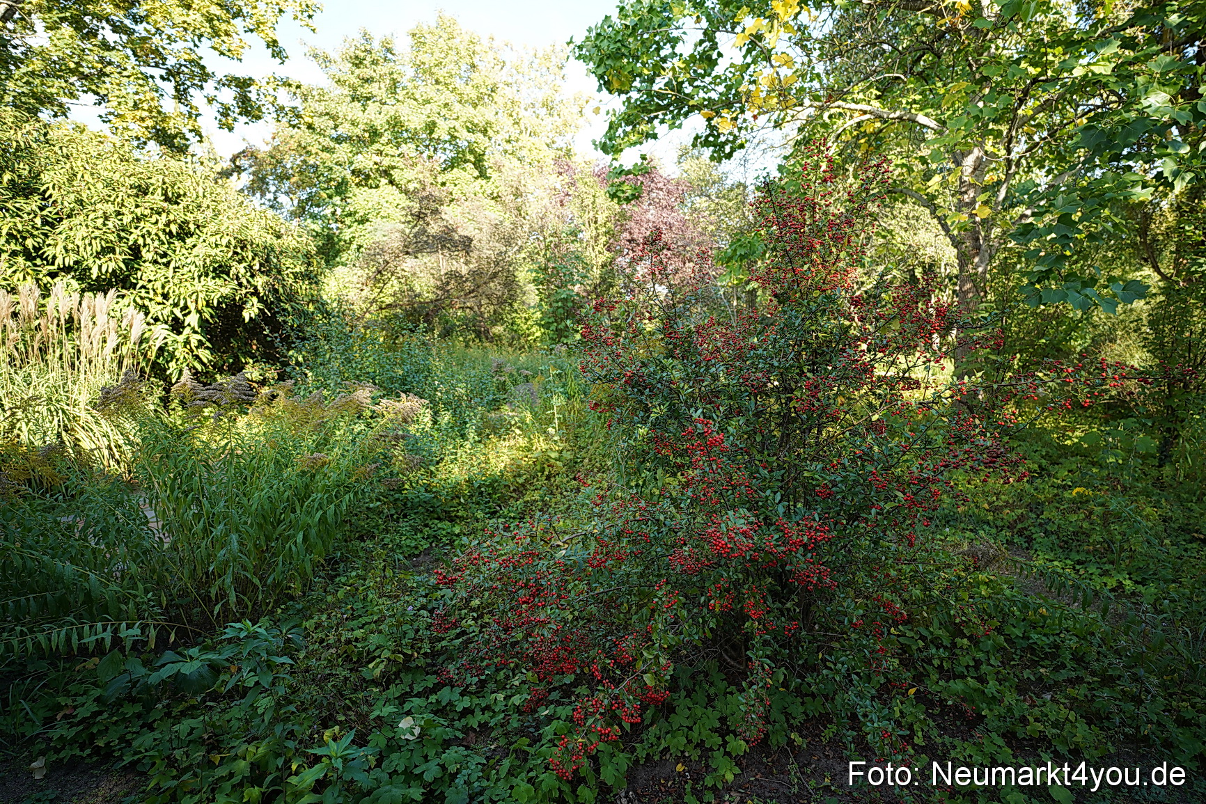 Life Side Galerie 2023 0019