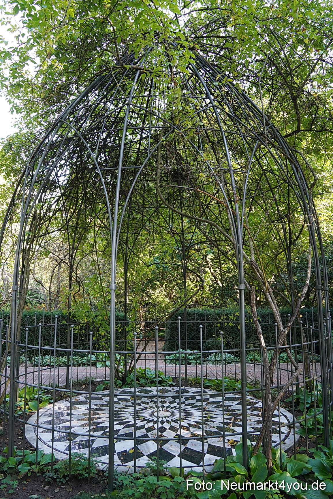 Life Side Galerie 2023 0022