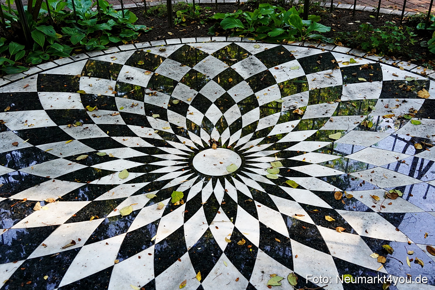 Life Side Galerie 2023 0023