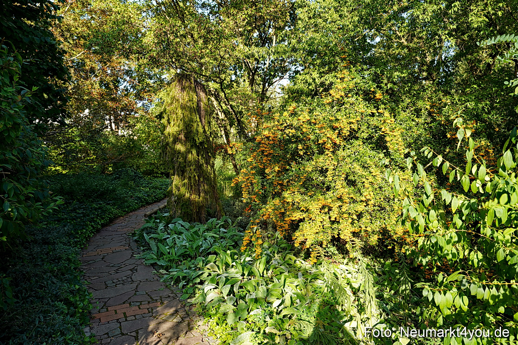 Life Side Galerie 2023 0024