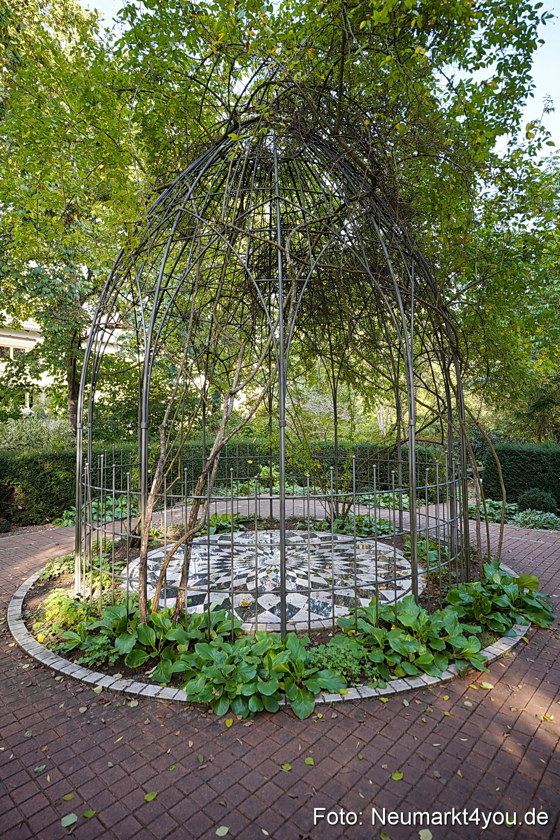 Life Side Galerie 2023 0025