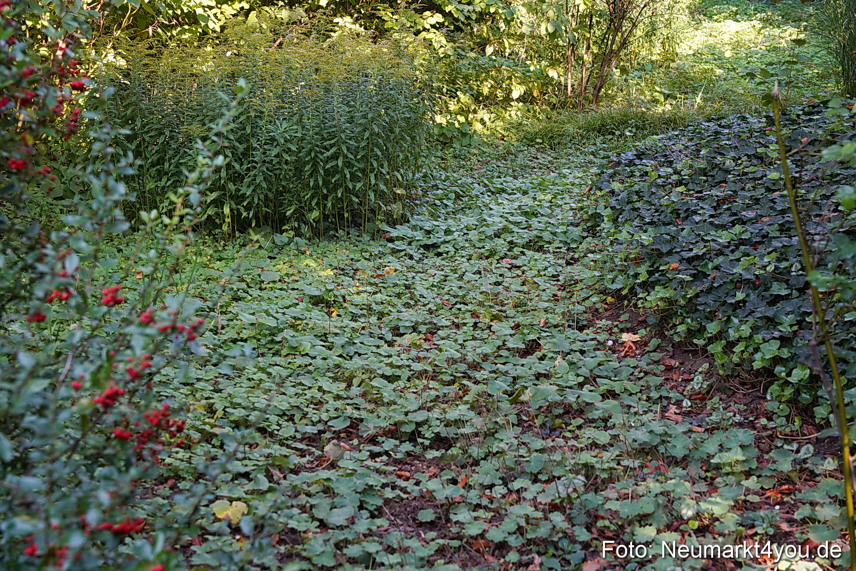 Life Side Galerie 2023 0026