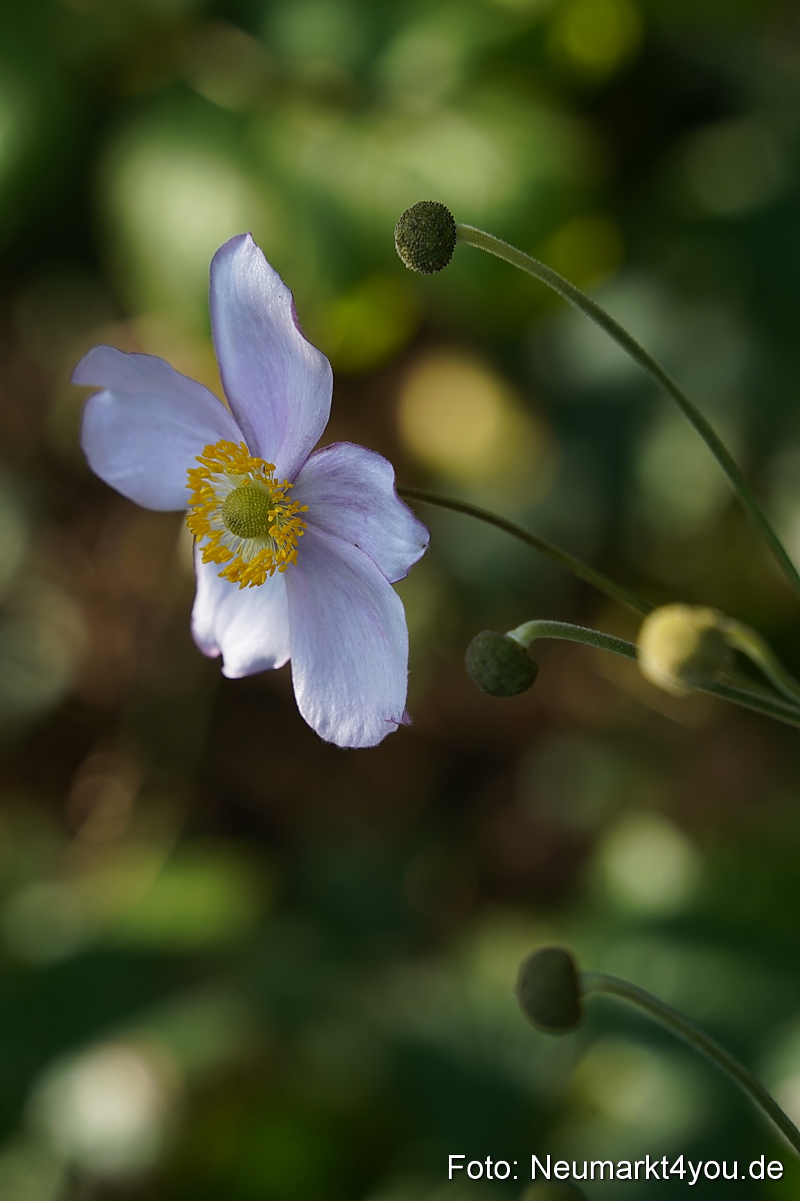 Life Side Galerie 2023 0027