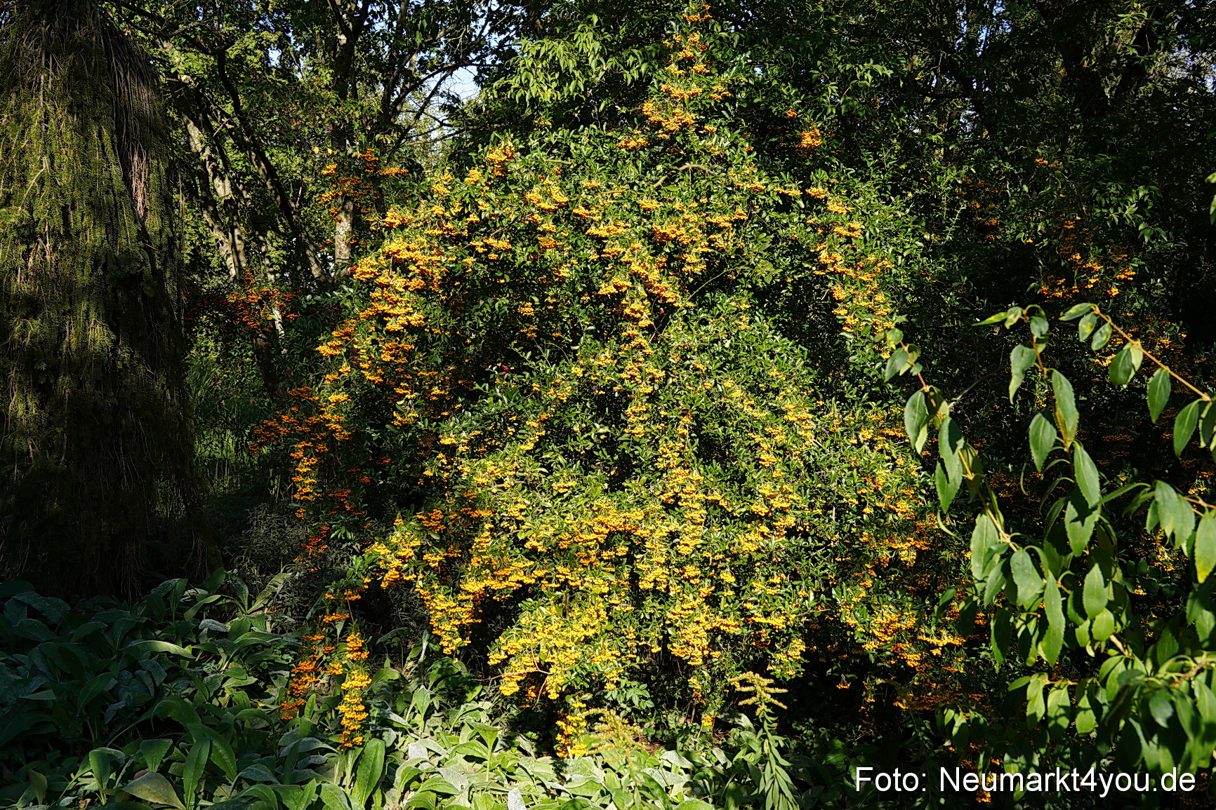 Life Side Galerie 2023 0028