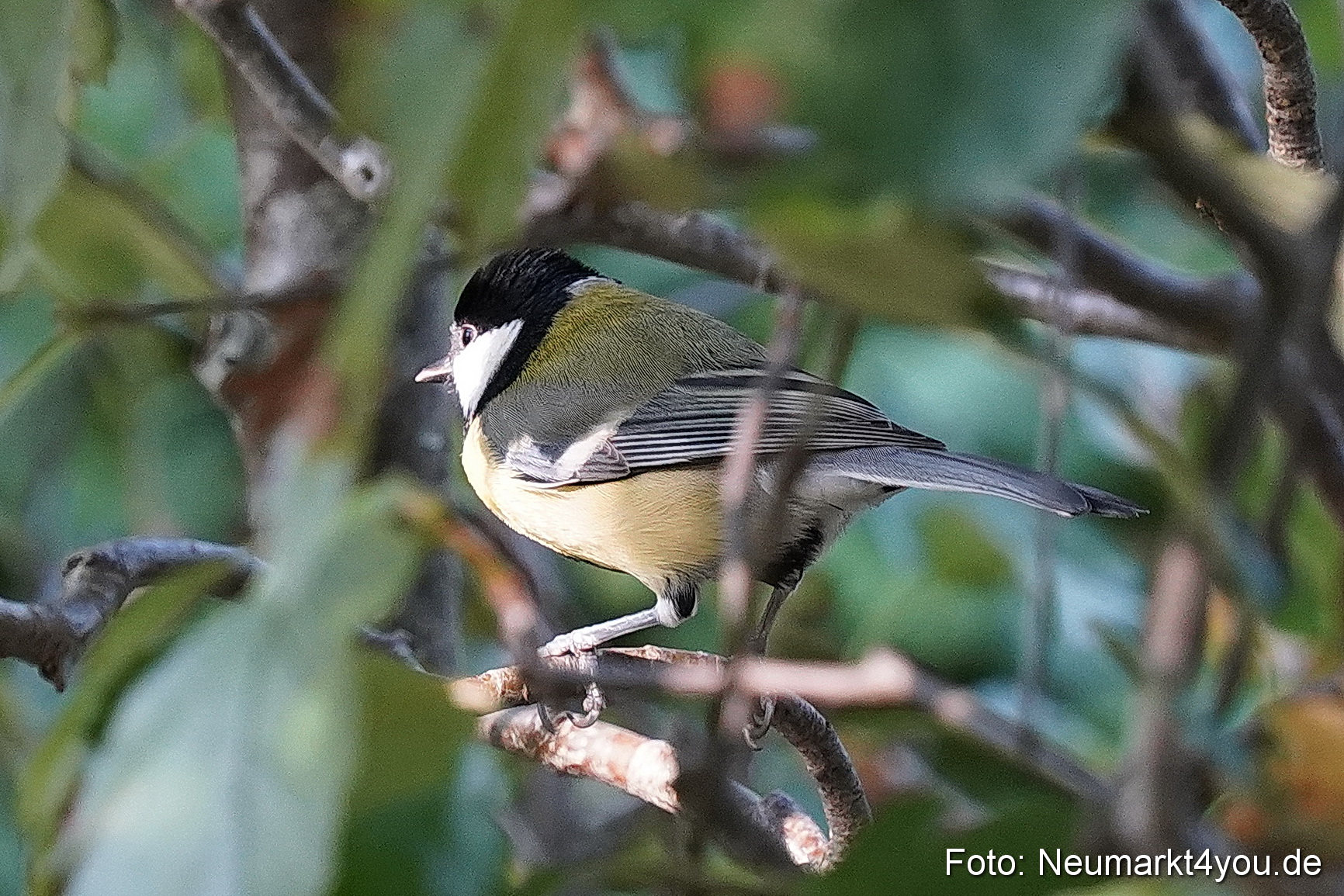 Life Side Galerie 2023 0031