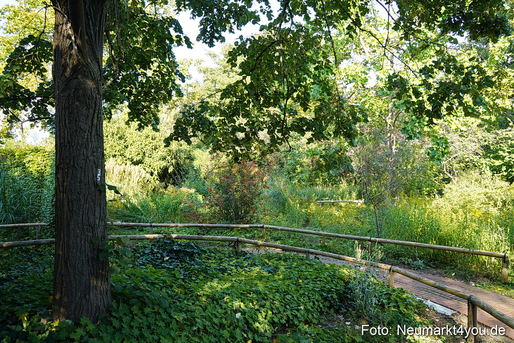 Life Side Galerie 2023 0033