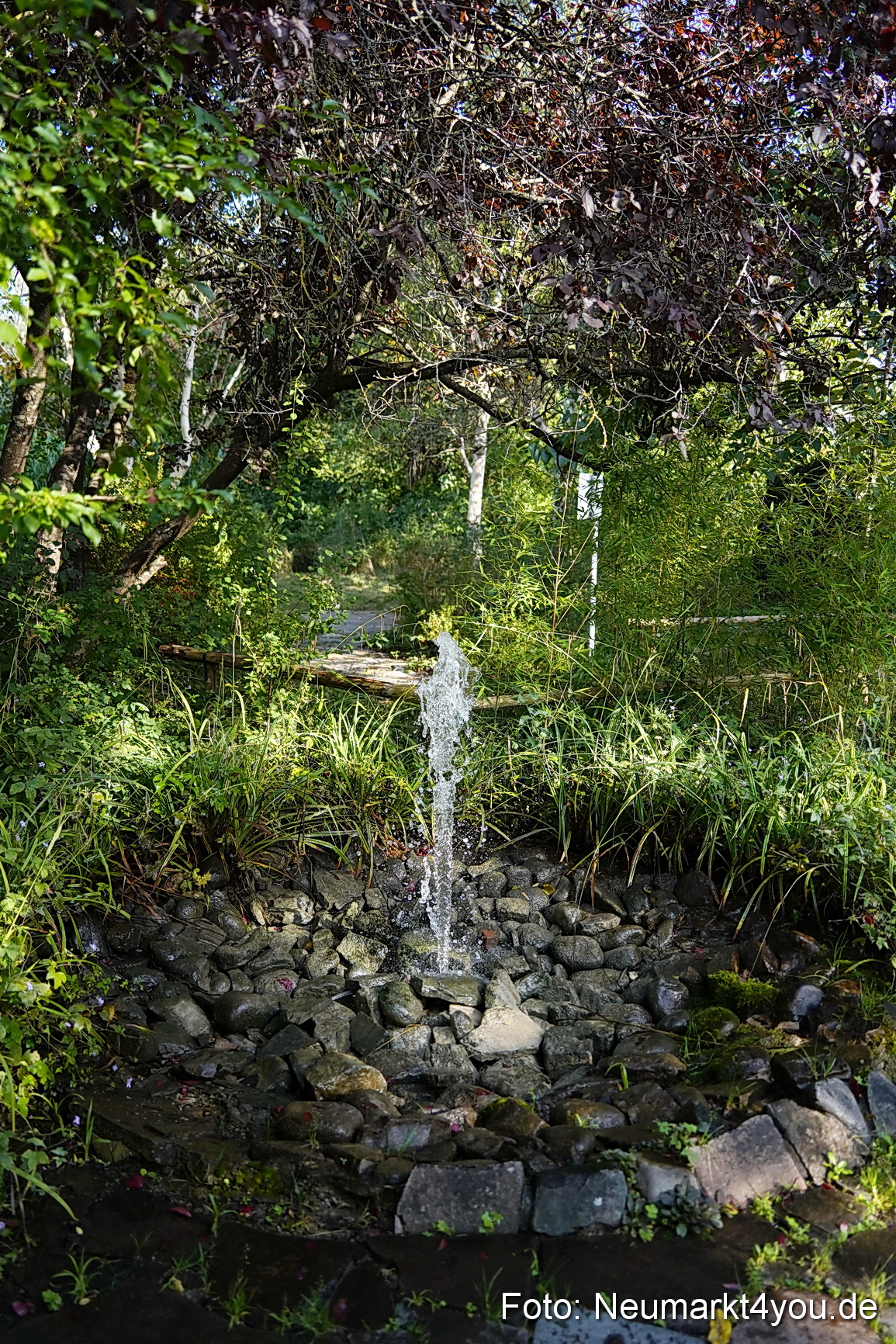 Life Side Galerie 2023 0035