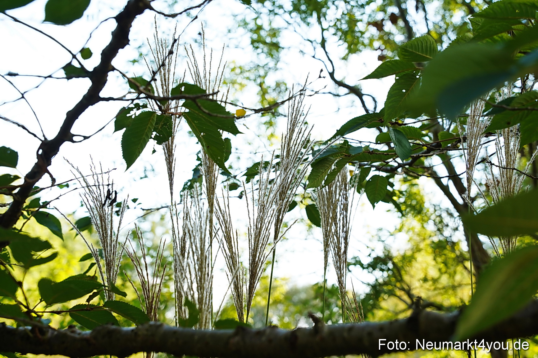 Life Side Galerie 2023 0036