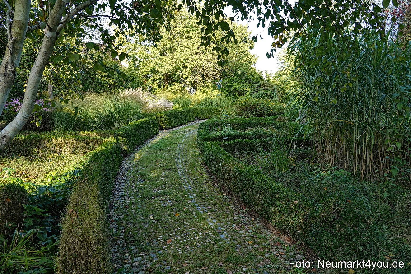 Life Side Galerie 2023 0037