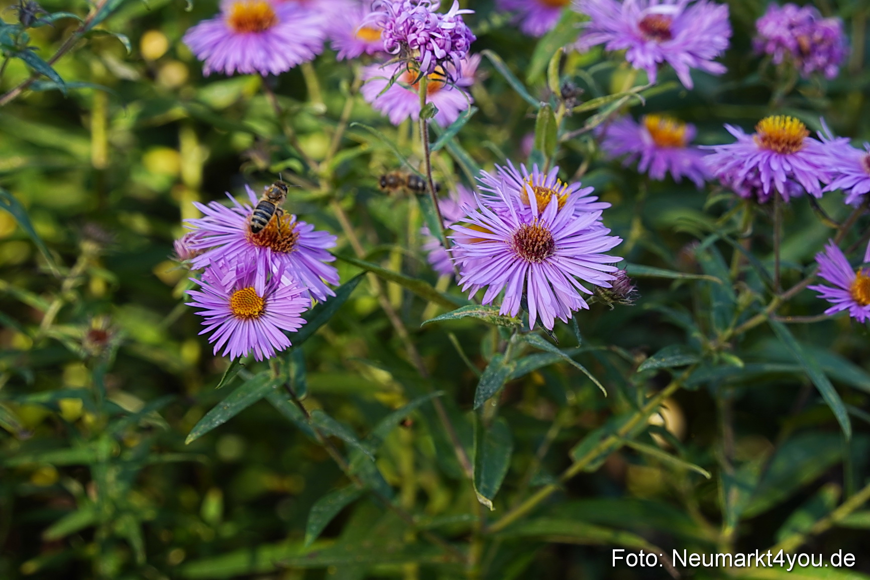 Life Side Galerie 2023 0038