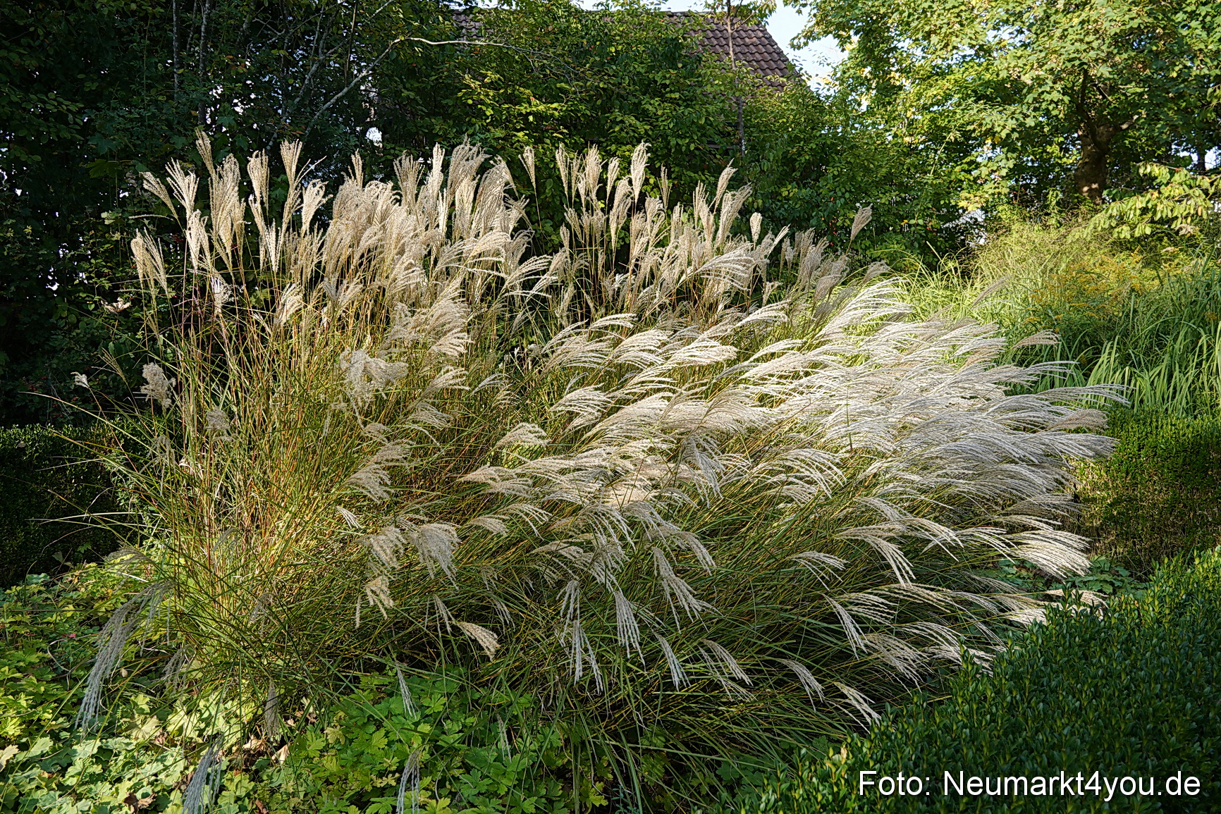 Life Side Galerie 2023 0040