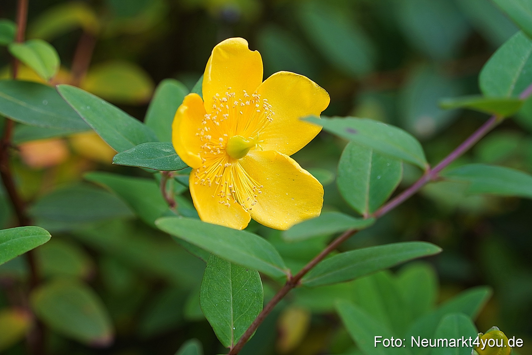 Life Side Galerie 2023 0041