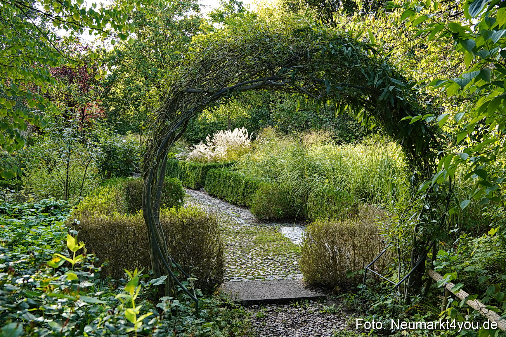 Life Side Galerie 2023 0042