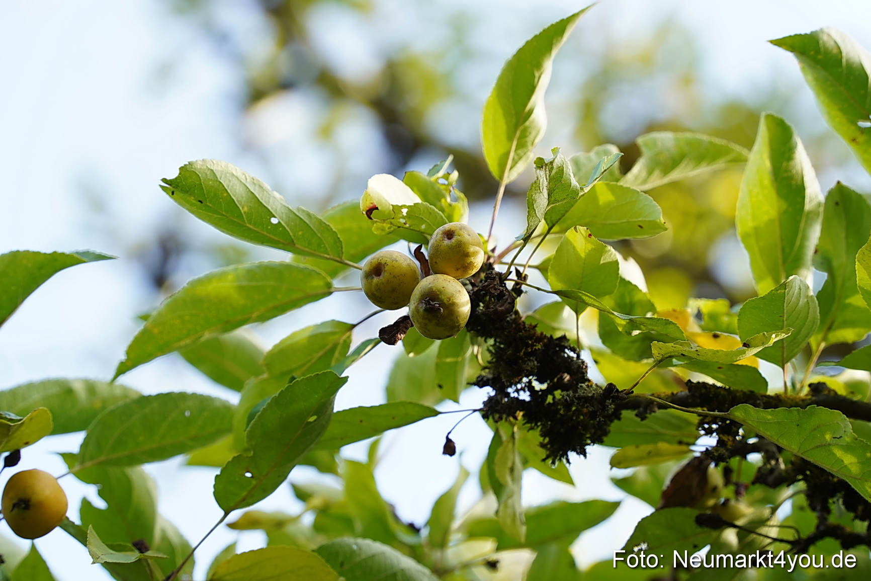 Life Side Galerie 2023 0043